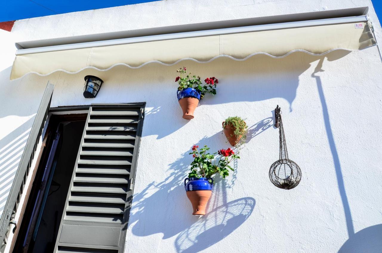 Ferienwohnung Alohamundi Campana Sevilla Exterior foto